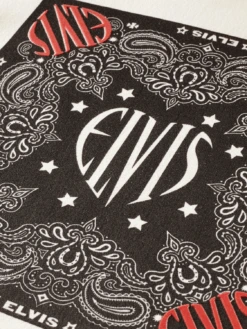 Scotch & Soda Elvis Graphic Cotton Sweater -Scotch & Soda 166589 Ecru DTL6